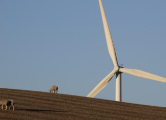 Tech billionaires plan to construct California metropolis from scratch