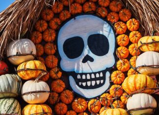 Mr. Bones Pumpkin Patch again for thirty sixth yr