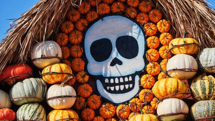 Mr.-Bones-Pumpkin-Patch-4_Images-by-Pascal-Shirley_crop_2.jpeg