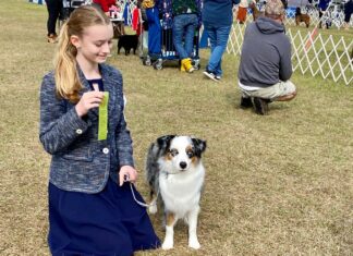 St. Pete teen, canine Phoenix place third at Brooksville canine present