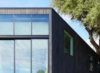 Olive tree evokes attractive Silver Lake rework close to reservoir