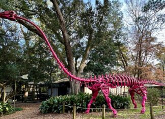 Tallahassee Museum presents array of instructional actions