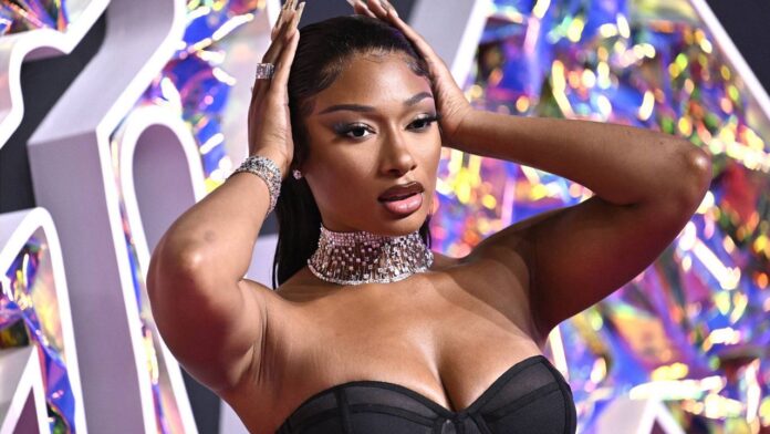 megan_thee_stallion_ap_photo.jpeg