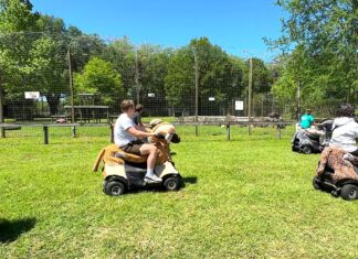 Carson Springs Wildlife Sanctuary in Gainesville