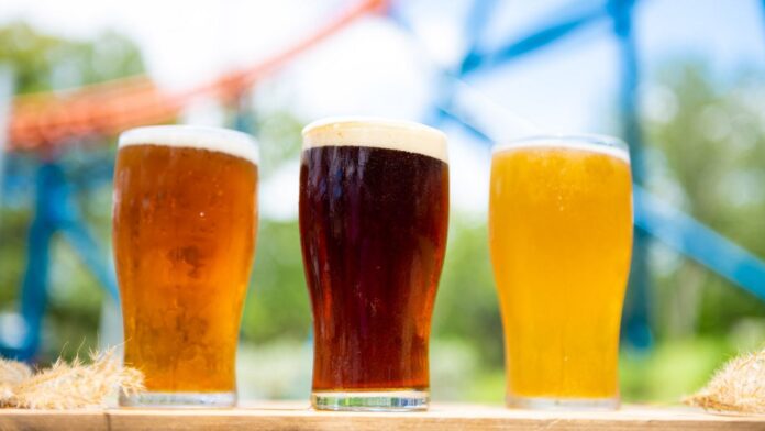 n13_seaworld_craft_beer_festival.jpeg