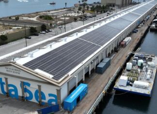 Ocean know-how hub AltaSea blooms on San Pedro waterfront