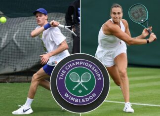 How to watch Wimbledon 2025 for free: Schedule, dwell stream