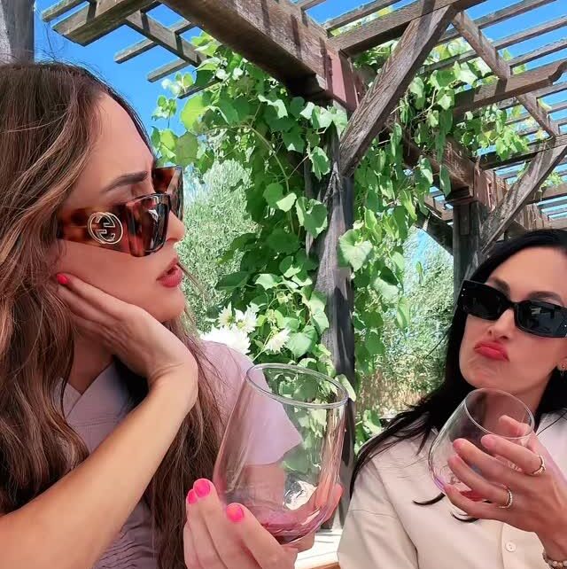 nikki-garcia-and-brie-bella-tease-wine-dinner-event-with-playful-banter-e1755355089871.jpg
