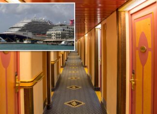Cruise cabin door decorations spark fierce reaction after Royal Caribbean issues new crackdown at sea