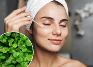 What is centella? ‘Herb of longevity is Korean skincare staple