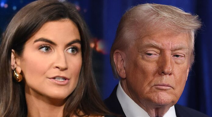 Kaitlan Collins Says She Wasn't 'Surprised' Trump Attacked Her During WHCD Speech