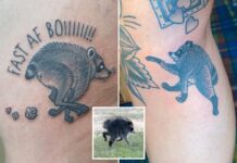 Jimothy tattoo trend explodes as viral raccoon takes US by storm