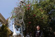 Giant skeletons are staying up gone Halloween in Los Angeles