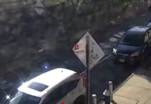 Dramatic Video Shows ICE Shooting in New York City