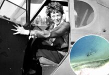Amelia Earhart expedition begins as researchers target crab-infested island