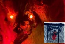 Massive ‘Jimothy’ Halloween display on West Coast honors viral raccoon