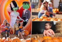 Mr. Bones pumpkin patch returns to popular LA city for Halloween