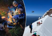 Uptick in rescues blamed on unrealistic social media channels