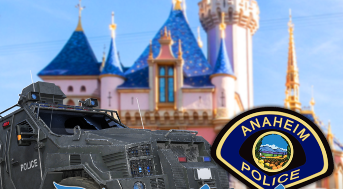 Disneyland Horror: Dead Body Found Outside 'The Happiest Place on Earth'