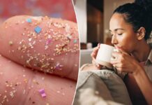 ‘Critical warning’ about microplastics in popular drink