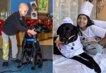 How dogs at NYC hospitals are helping heal sick kids