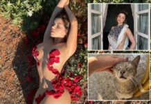 Instagram model Demi Rose Mawby vanished and became a cat lady after tragedy hit