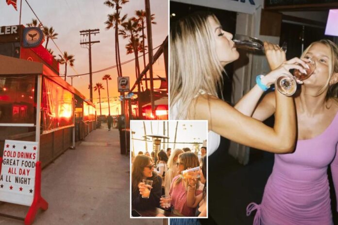 newspress-collage-kf3snavxp-1792265882440.jpg