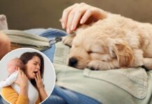 Woman demands maternity leave for new puppy, sparking outrage